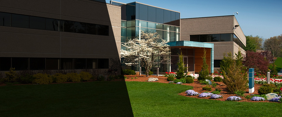 Pacific Palisades Landscapers