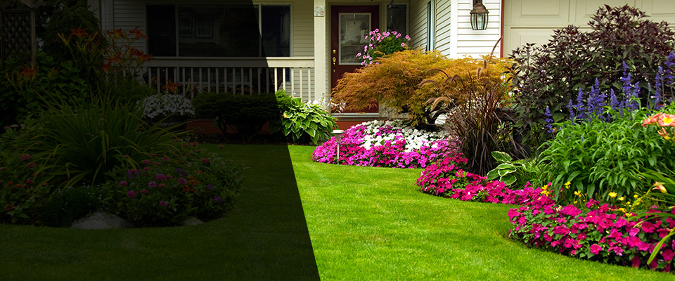 Pacific Palisades Landscapers