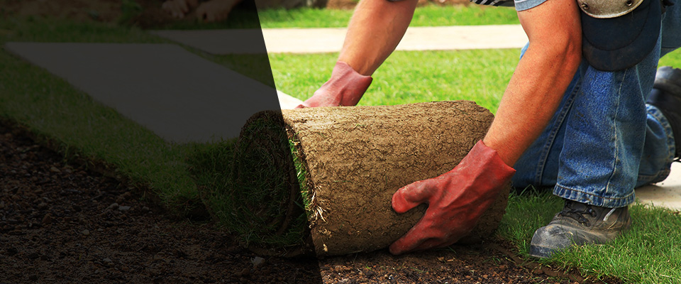 Pacific Palisades Landscapers